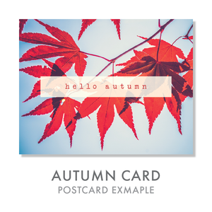 Seasonal Postcards